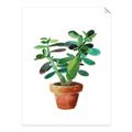Picture of Aloe Plant _GroupedProduct_Rectangle_Portrait_Unframed_Print_Only_