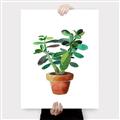 Picture of Aloe Plant _GroupedProduct_Rectangle_Portrait_Canvas_