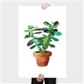 Picture of Aloe Plant _GroupedProduct_Rectangle_Portrait_Canvas_