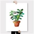 Picture of Aloe Plant _GroupedProduct_Rectangle_Portrait_Canvas_