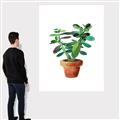 Picture of Aloe Plant _GroupedProduct_Rectangle_Portrait_Canvas_