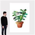 Picture of Aloe Plant _GroupedProduct_Rectangle_Portrait_Canvas_