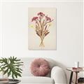 Picture of Dried Flowers I  _GroupedProduct_Rectangle_Portrait_Canvas_