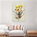 Picture of Dried Flowers with Outline II  _GroupedProduct_Rectangle_Portrait_Canvas_