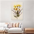 Picture of Dried Flowers II  _GroupedProduct_Rectangle_Portrait_Canvas_