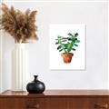 Picture of Aloe Plant _GroupedProduct_Rectangle_Portrait_Canvas_