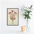 Picture of Dried Flowers with Outline I _GroupedProduct_Rectangle_Portrait_Canvas_Framed_