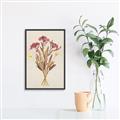 Picture of Dried Flowers I  _GroupedProduct_Rectangle_Portrait_Canvas_Framed_