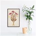Picture of Dried Flowers I  _GroupedProduct_Rectangle_Portrait_Canvas_Framed_