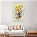 Picture of Dried Flowers with Outline II  _GroupedProduct_Rectangle_Portrait_Canvas_Framed_