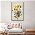 Picture of Dried Flowers with Outline II  _GroupedProduct_Rectangle_Portrait_Canvas_Framed_