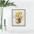 Picture of Dried Flowers II  _GroupedProduct_Rectangle_Portrait_Canvas_Framed_
