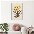 Picture of Dried Flowers II  _GroupedProduct_Rectangle_Portrait_Canvas_Framed_