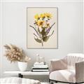 Picture of Dried Flowers II  _GroupedProduct_Rectangle_Portrait_Canvas_Framed_