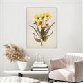 Picture of Dried Flowers II  _GroupedProduct_Rectangle_Portrait_Canvas_Framed_