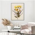 Picture of Dried Flowers II  _GroupedProduct_Rectangle_Portrait_Canvas_Framed_