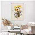 Picture of Dried Flowers II  _GroupedProduct_Rectangle_Portrait_Canvas_Framed_