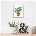 Picture of Aloe Plant _GroupedProduct_Rectangle_Portrait_Canvas_Framed_