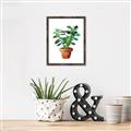 Picture of Aloe Plant _GroupedProduct_Rectangle_Portrait_Canvas_Framed_