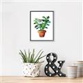Picture of Aloe Plant _GroupedProduct_Rectangle_Portrait_Canvas_Framed_