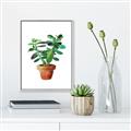 Picture of Aloe Plant _GroupedProduct_Rectangle_Portrait_Canvas_Framed_