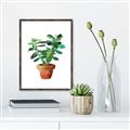 Picture of Aloe Plant _GroupedProduct_Rectangle_Portrait_Canvas_Framed_