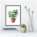 Picture of Aloe Plant _GroupedProduct_Rectangle_Portrait_Canvas_Framed_