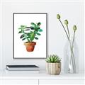 Picture of Aloe Plant _GroupedProduct_Rectangle_Portrait_Canvas_Framed_