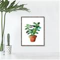 Picture of Aloe Plant _GroupedProduct_Rectangle_Portrait_Canvas_Framed_