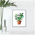 Picture of Aloe Plant _GroupedProduct_Rectangle_Portrait_Canvas_Framed_