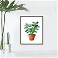 Picture of Aloe Plant _GroupedProduct_Rectangle_Portrait_Canvas_Framed_