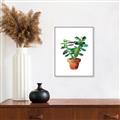 Picture of Aloe Plant _GroupedProduct_Rectangle_Portrait_Canvas_Framed_