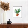 Picture of Aloe Plant _GroupedProduct_Rectangle_Portrait_Canvas_Framed_
