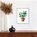 Picture of Aloe Plant _GroupedProduct_Rectangle_Portrait_Canvas_Framed_