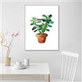 Picture of Aloe Plant _GroupedProduct_Rectangle_Portrait_Canvas_Framed_