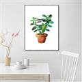 Picture of Aloe Plant _GroupedProduct_Rectangle_Portrait_Canvas_Framed_