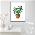Picture of Aloe Plant _GroupedProduct_Rectangle_Portrait_Canvas_Framed_