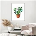 Picture of Aloe Plant _GroupedProduct_Rectangle_Portrait_Canvas_Framed_