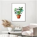 Picture of Aloe Plant _GroupedProduct_Rectangle_Portrait_Canvas_Framed_