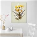 Picture of Dried Flowers with Outline II  _GroupedProduct_Rectangle_Portrait_Unframed_Print_Only_