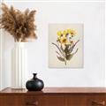 Picture of Dried Flowers II  _GroupedProduct_Rectangle_Portrait_Unframed_Print_Only_