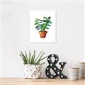 Picture of Aloe Plant _GroupedProduct_Rectangle_Portrait_Unframed_Print_Only_