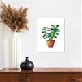 Picture of Aloe Plant _GroupedProduct_Rectangle_Portrait_Unframed_Print_Only_