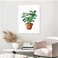 Picture of Aloe Plant _GroupedProduct_Rectangle_Portrait_Unframed_Print_Only_