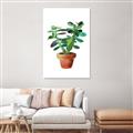 Picture of Aloe Plant _GroupedProduct_Rectangle_Portrait_Unframed_Print_Only_