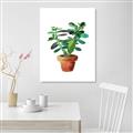 Picture of Aloe Plant _GroupedProduct_Rectangle_Portrait_Unframed_Print_Only_