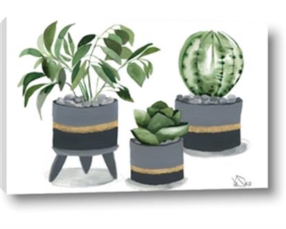 Picture of Plants in Grey vases