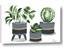 Picture of Plants in Grey vases
