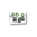 Picture of Plants in Grey vases _GroupedProduct_Rectangle_Landscape_Canvas_