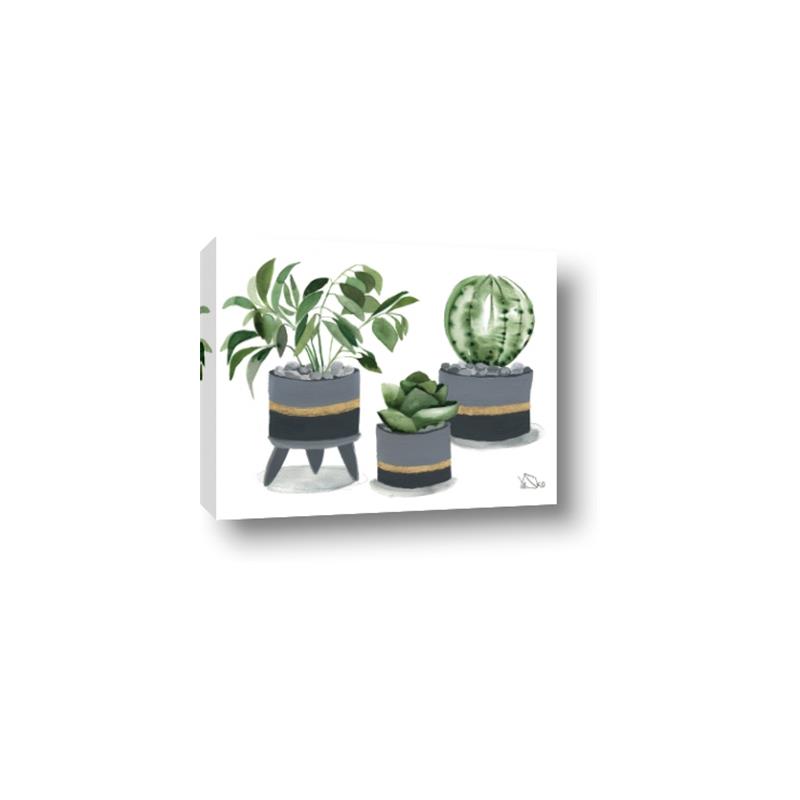 Picture of Plants in Grey vases _GroupedProduct_Rectangle_Landscape_Canvas_